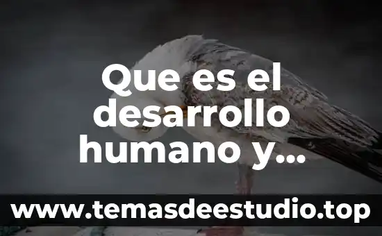 Que es identificar los elementos de la danza 3 Que es el desarrollo humano y porque surgio