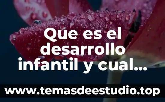 Que es el guardabarros cual es su nombre en mexico 5 Que es el desarrollo infantil y cual son las dimeciones
