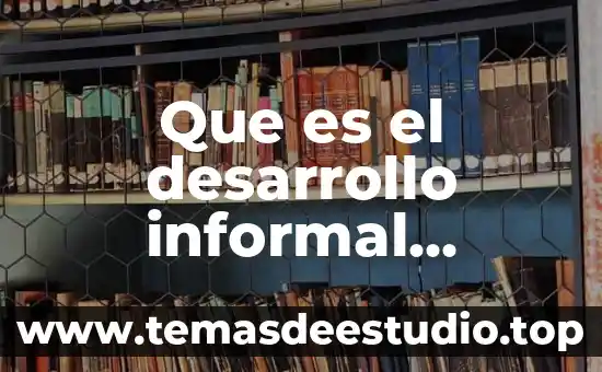 Que es el lsd en desarrollo de proyectos 5 Que es el desarrollo informal criminal