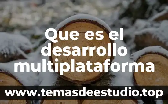 Que es lo que desarrollo steve jobs 8 Que es el desarrollo multiplataforma