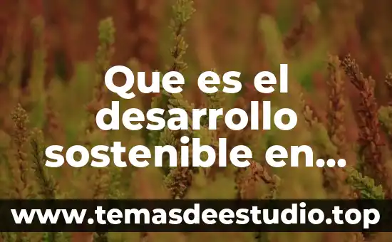 Que es conocimiento en una empresa 3 Que es el desarrollo sostenible en una empresa