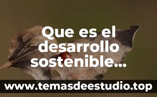 Que es el desarrollo sostenible mapa conceptual