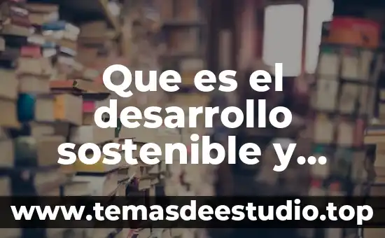 Qué es derecho San Petersburgo porque cambio el nombre 8 Que es el desarrollo sostenible y porque es importante