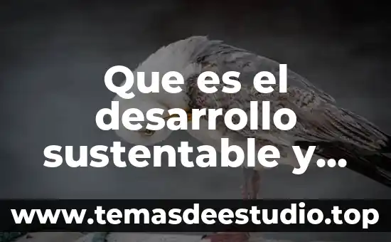 Por que es importante la economía para el desarrollo sustentable 7 Que es el desarrollo sustentable y para que sirve