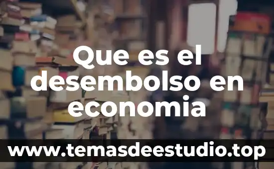 Que es una meta en economia 6 Que es el desembolso en economia