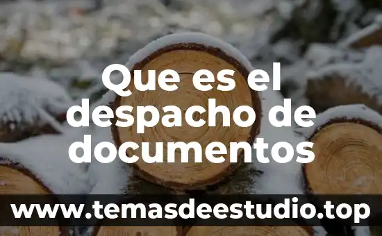 Que es desglose de documentos 5 Que es el despacho de documentos