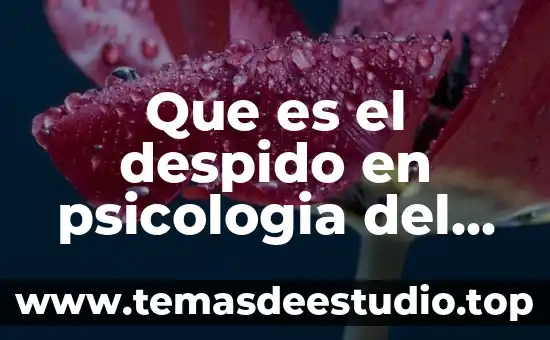 En psicología que es la conciencia 8 Que es el despido en psicologia del trabajo
