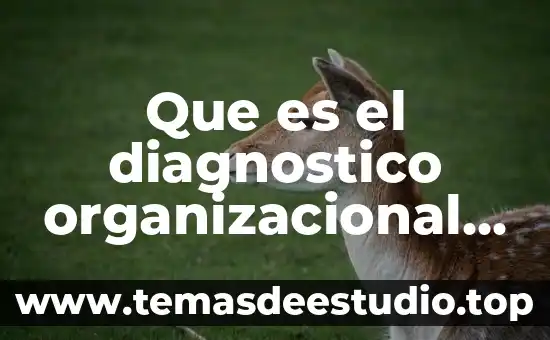 Que es el diagnostico organizacional salarios