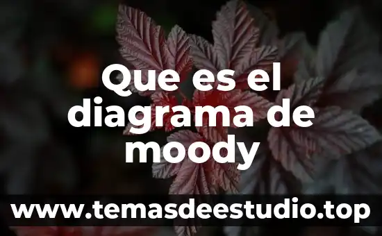 Que es un diagrama de un vector 3 Que es el diagrama de moody