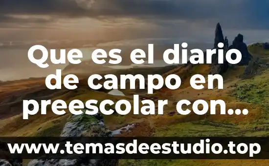 Que es el campo petrolero o planta refinería de petroleo 6 Que es el diario de campo en preescolar con autor