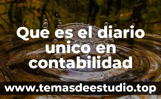 Que es el campo unico en base de datos 8 Que es el diario unico en contabilidad