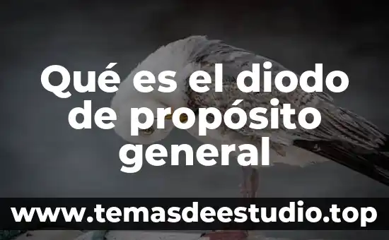 Qué es un número general 4 Qué es el diodo de propósito general