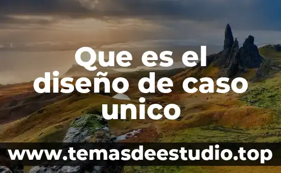 Que es el campo unico en base de datos 4 Que es el diseño de caso unico
