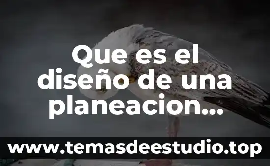 Que es el diseño de una planeacion educaiva