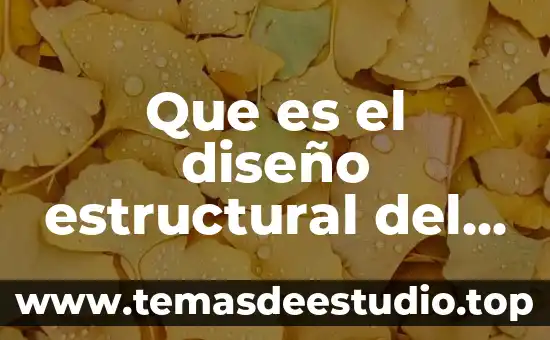 Que es el diseño estructural del proyecto