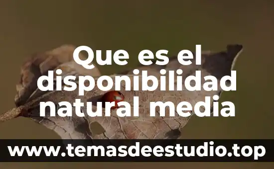 Que es disponibilidad de nutrientes alimentos 4 Que es el disponibilidad natural media