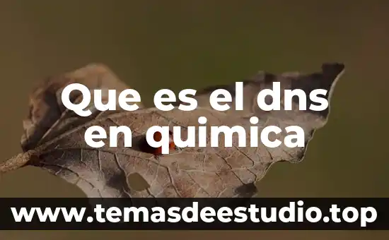 DNS tipo A que es 4 Que es el dns en quimica