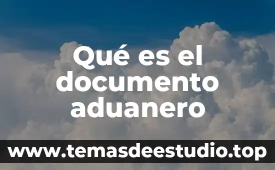 Qué es el documento aduanero