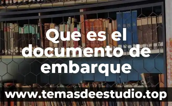 Que es un documento de identidad de irene diaz 3 Que es el documento de embarque
