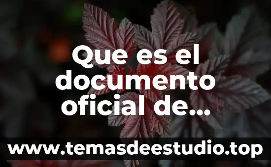 Que es ser tienda oficial de mercado libre 7 Que es el documento oficial de identidad