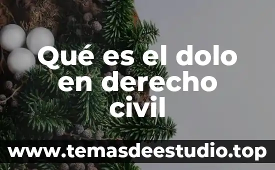 Qué es el dolo directo en derecho penal 7 Qué es el dolo en derecho civil