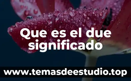 Que es cementacion primaria 7 Que es el due significado