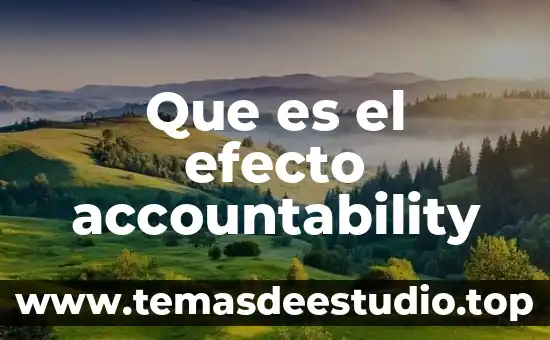 Que es el argumento de un plano 2d 8 Que es el efecto accountability