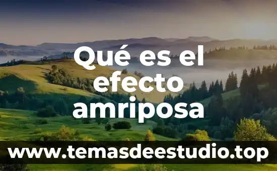 Que es la cultura agraia 4 Qué es el efecto amriposa