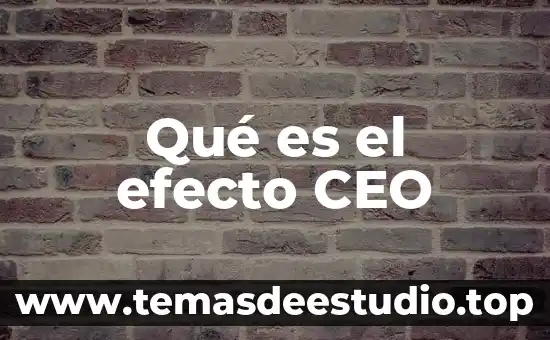 Qué es un cilindro de simple y doble efecto 8 Qué es el efecto CEO