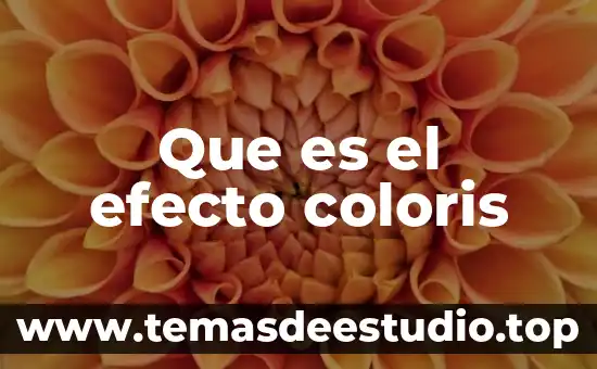 Que es ser parner en twich 4 Que es el efecto coloris