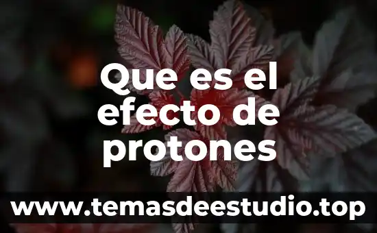 Que es el movimiento de proyectiles en fisica 4 Que es el efecto de protones