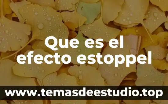 Qué es un cilindro de simple y doble efecto 4 Que es el efecto estoppel