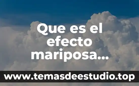 Que es el efecto termorregulador 4 Que es el efecto mariposa pelicula