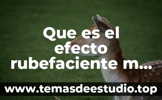 Qué es un cilindro de simple y doble efecto 7 Que es el efecto rubefaciente m force