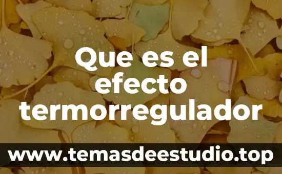 Qué es un efecto de canción 3 Que es el efecto termorregulador