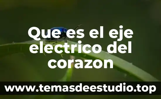 Qué es un capacitor de un motor eléctrico 3 Que es el eje electrico del corazon
