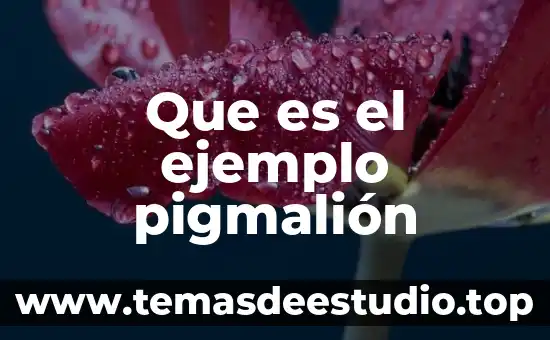 Qué es una conclusión y ejemplo 8 Que es el ejemplo pigmalión