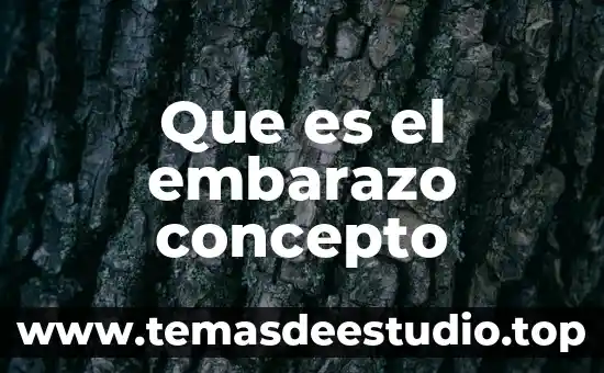 Que es el embarazo concepto