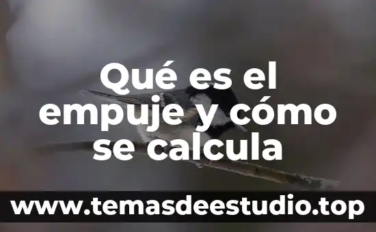 Que es el liva y como se calcula 3 Qué es el empuje y cómo se calcula