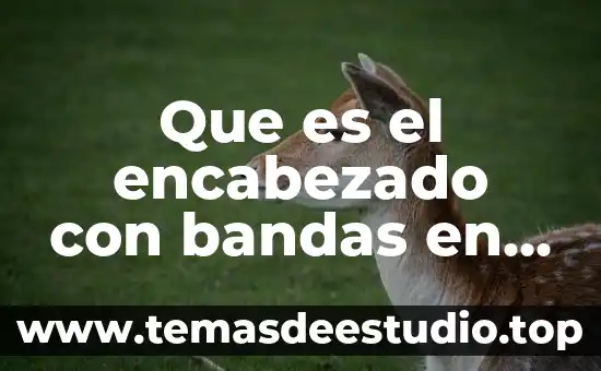 Qué es tquifrenia diccionario griego 3 Que es el encabezado con bandas en word