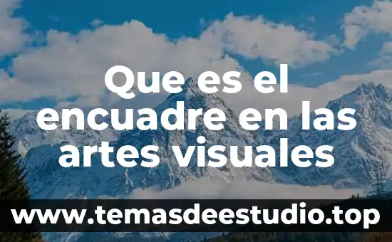 Que es danza con artes visuales 8 Que es el encuadre en las artes visuales