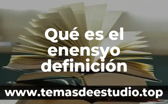 Qué es el enensyo definición