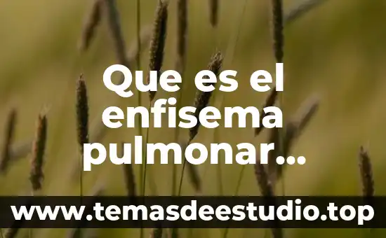 Que es la emfermedad del erpes que sintomas que causa 6 Que es el enfisema pulmonar causas sintomas