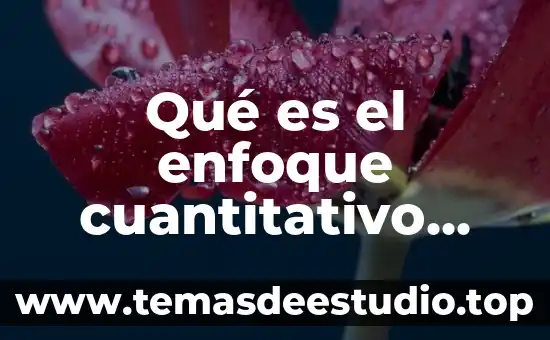 Que es identidad personal segun autores 7 Qué es el enfoque cuantitativo definición según autores