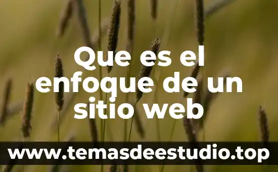 Que es el enfoque de un sitio web