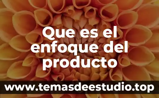 Que es un producto semi compuesto 3 Que es el enfoque del producto