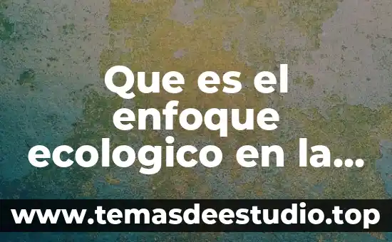 Qué es cultura y educación financiera 8 Que es el enfoque ecologico en la educacion