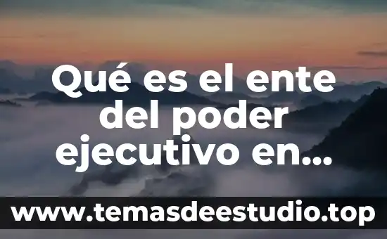 Concepto de que es una carta poder 5 Qué es el ente del poder ejecutivo en México