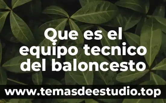 Que es ser ambientalista 7 Que es el equipo tecnico del baloncesto