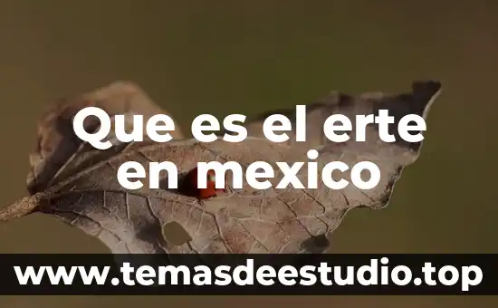 Que es el erte en mexico